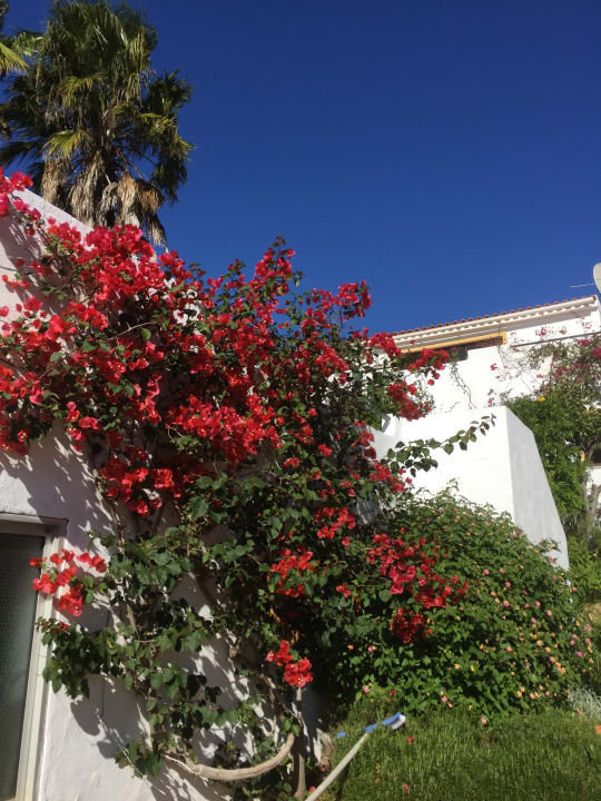 Gartenanlage Villa Feliz