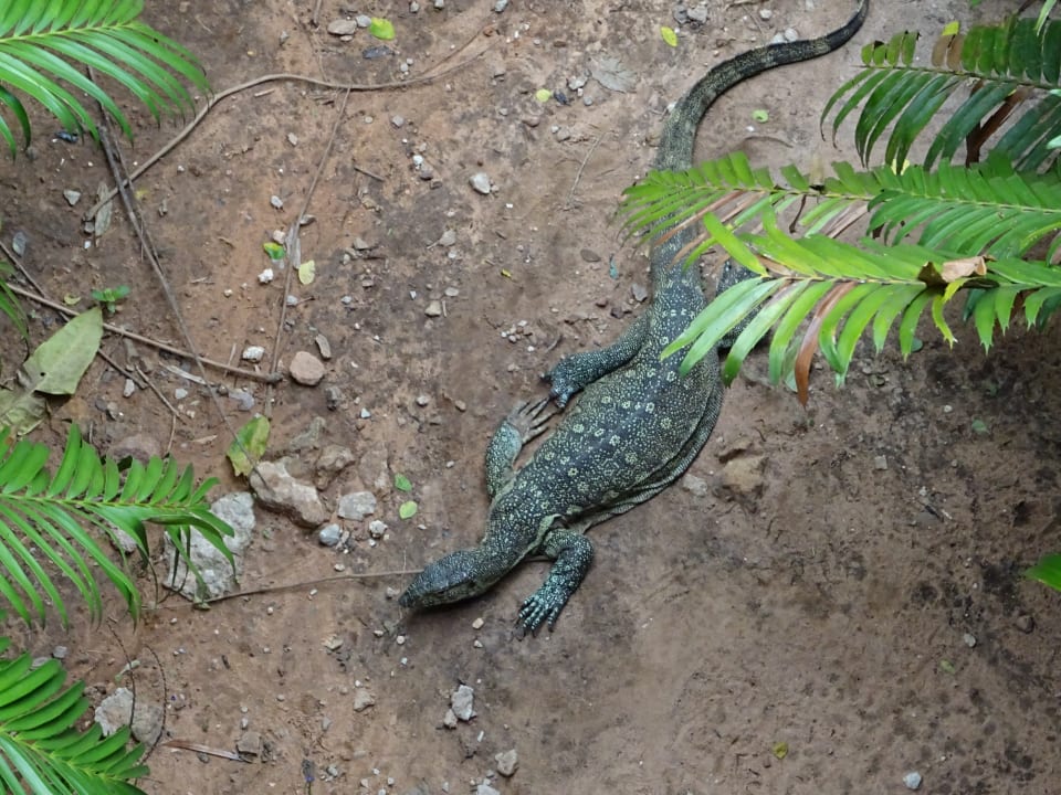 Sonstiges Shimba Hills Lodge