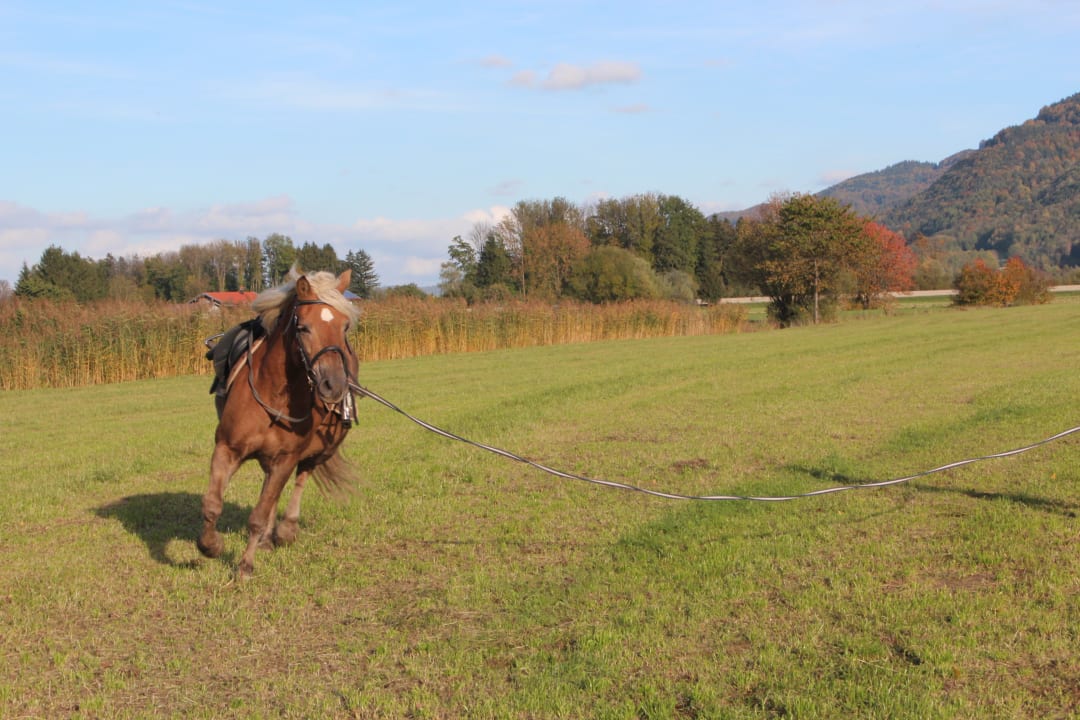 Sonstiges Ferienwohnungen Fetznhof Zuhäusl