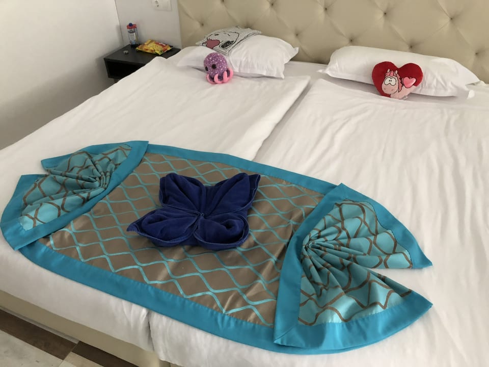 Zimmer Sentido Marea