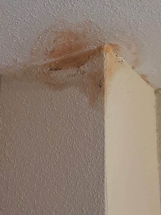 Sonstiges Center Parcs Park Nordseeküste