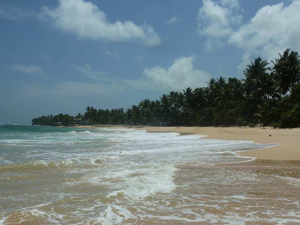 Vorm Hotel rechts Hotel Haus am Meer Wilde Ananas