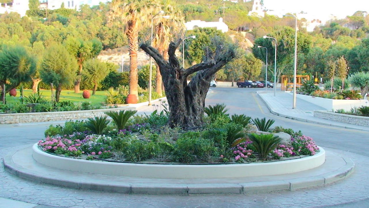 Gartenanlage Esperides Beach Resort