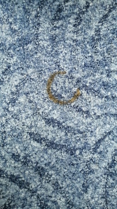 Zimmer Hotel Am Buschkrugpark