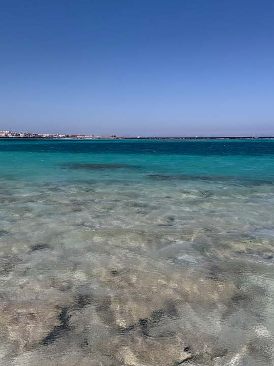 Strand JAZ Elite Asteria