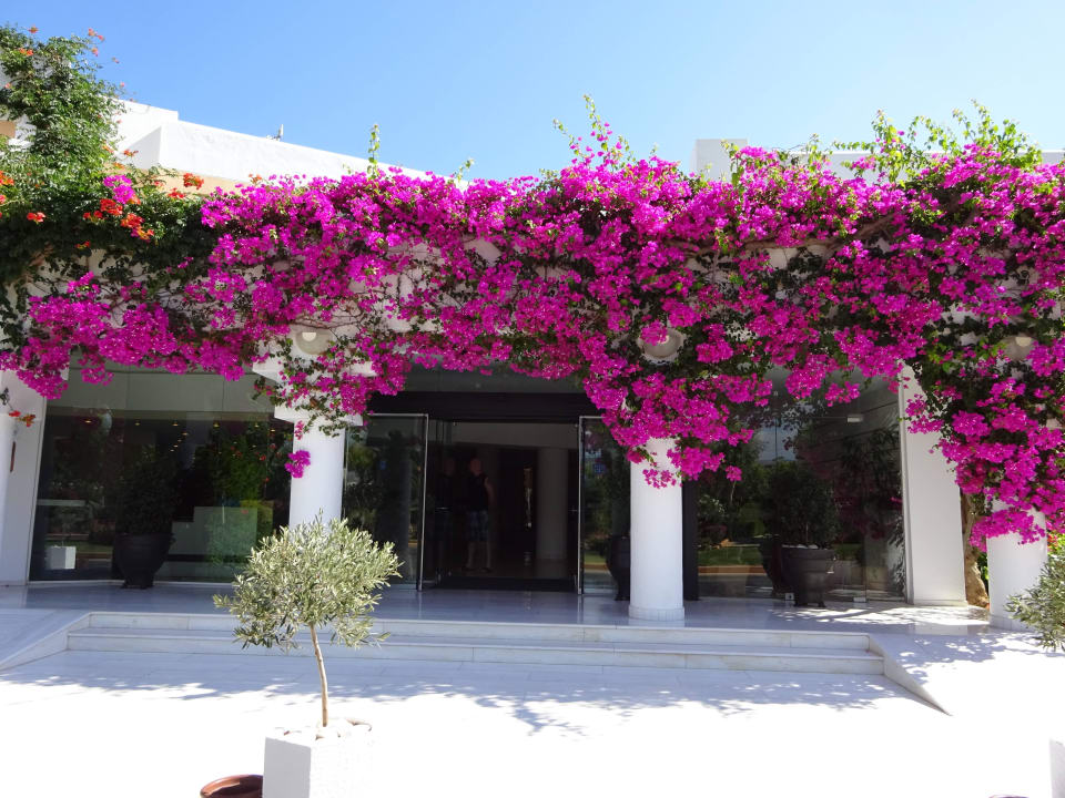 Eingang Anissa Beach & Village