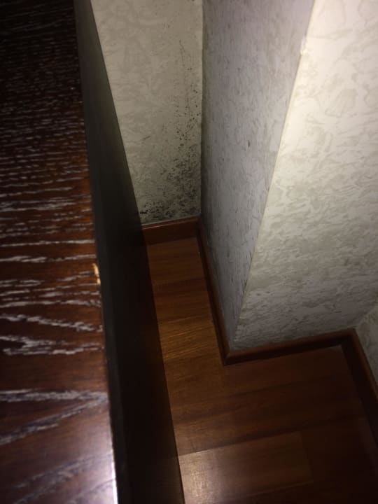 Schimmel  Hotel Hermitage