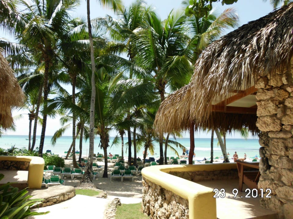 Viva Wyndham Hotel Viva Dominicus Palace by Wyndham-All Inclusive Resort