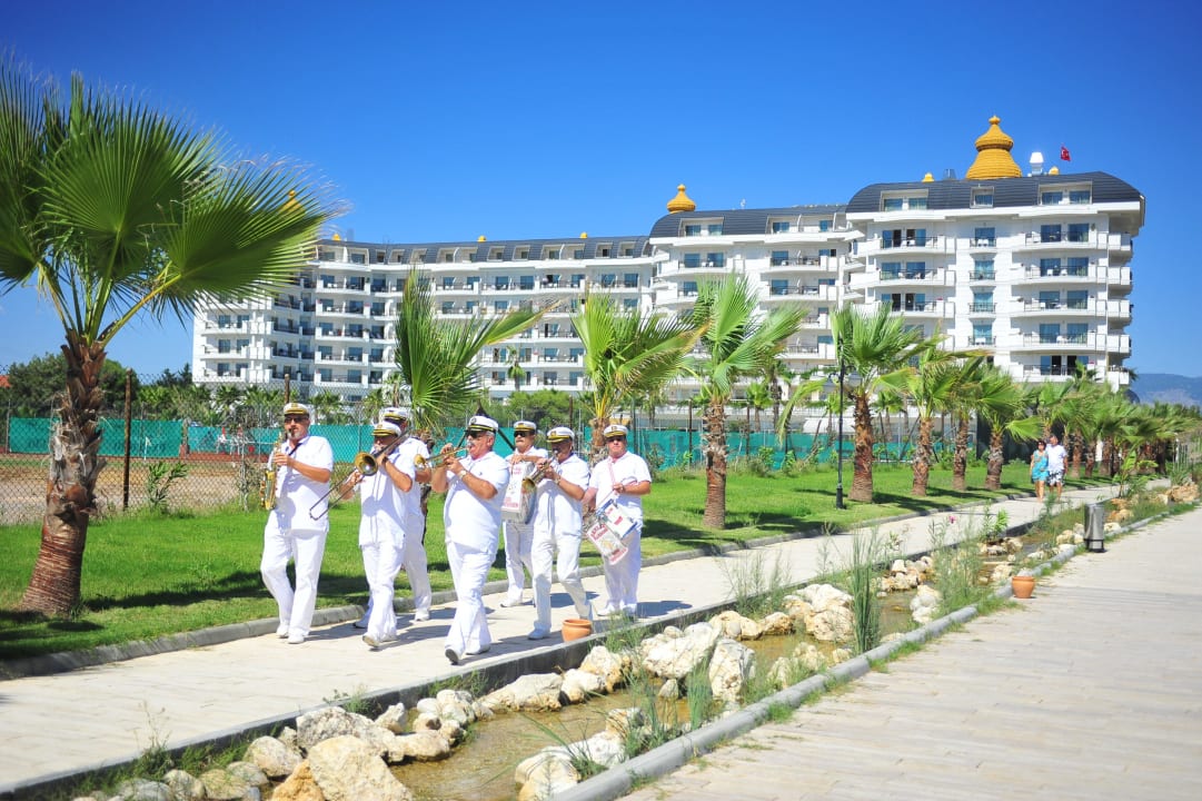 Oktoberfest  Asteria Bloom Side