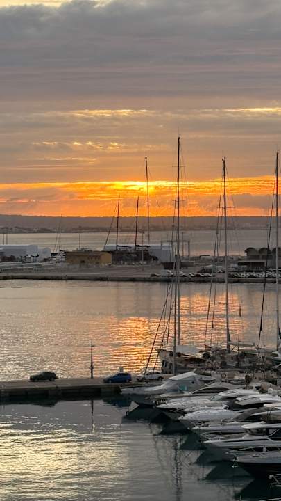 Ausblick Melia Palma Marina