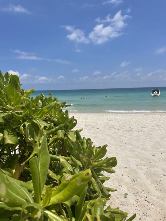 Strand Centara Reserve Samui