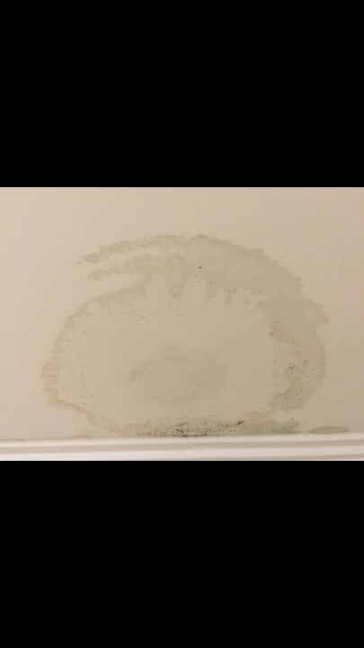 Schimmel Starlight Resort Hotel