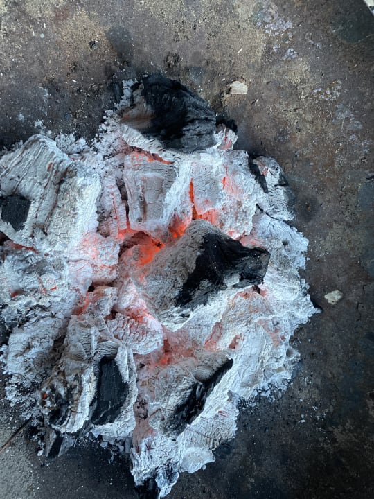 Gartenanlage Die Oberlochmühle PENSION