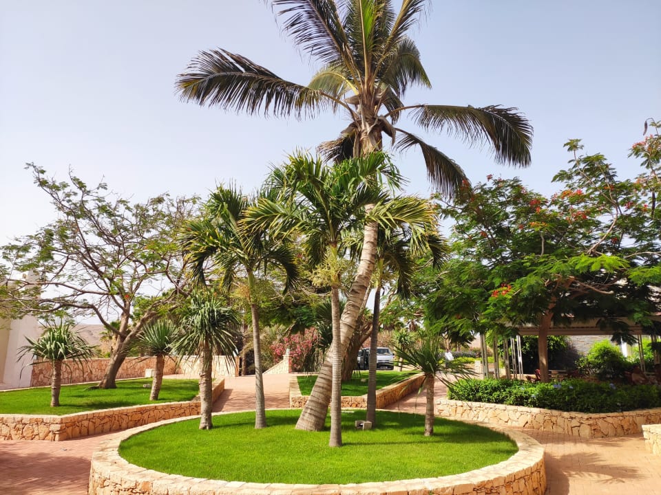 Gartenanlage VOI Praia De Chaves Resort