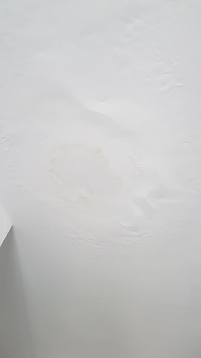 Zimmer King Jason Paphos - Designed for adults