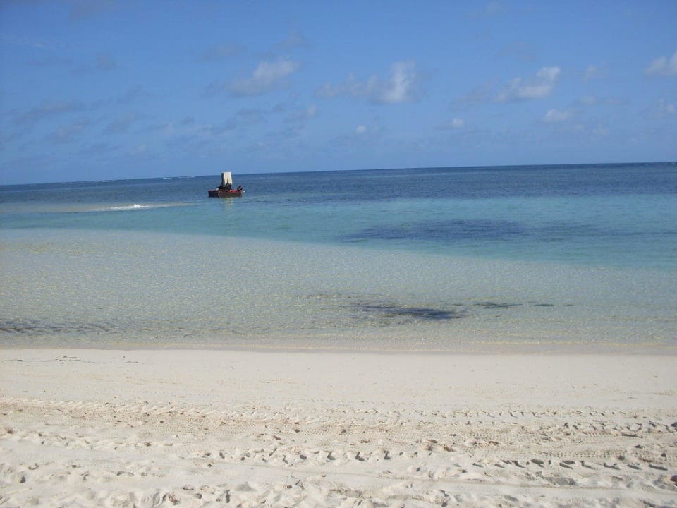 Ausblick von der Liege Catalonia Punta Cana - All Inclusive
