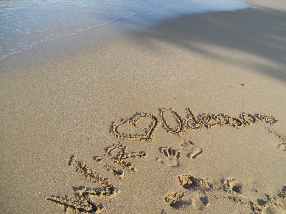 Wir <3 Odessos Odessos Park Hotel