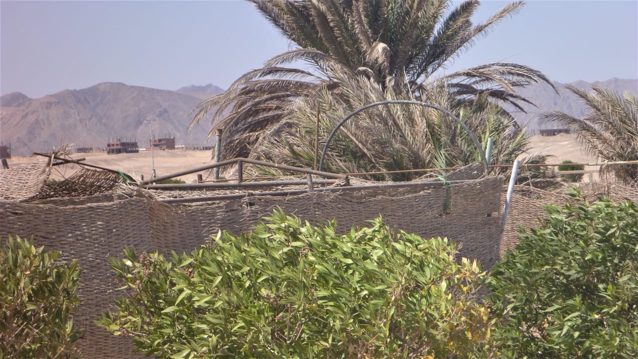 Strand Menaville Safaga