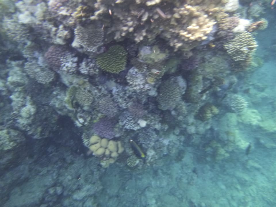 Sport & Freizeit Three Corners Sea Beach Resort