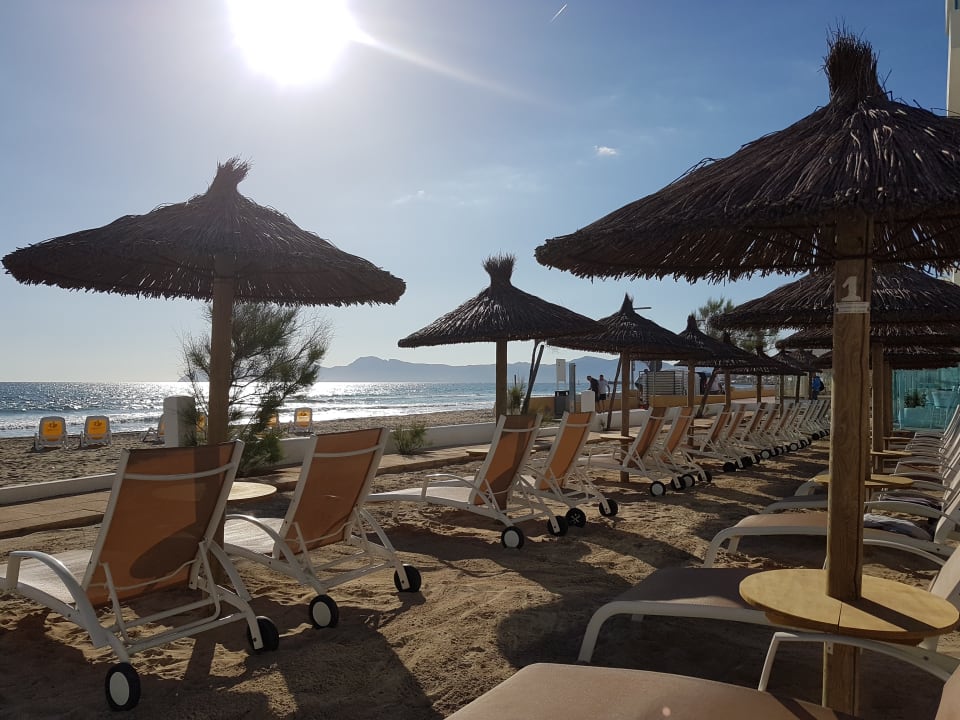 Hoteleigene Liegen The Sea Hotel by Grupotel - Adults only