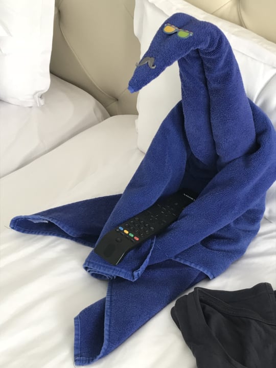 Zimmer Sentido Marea