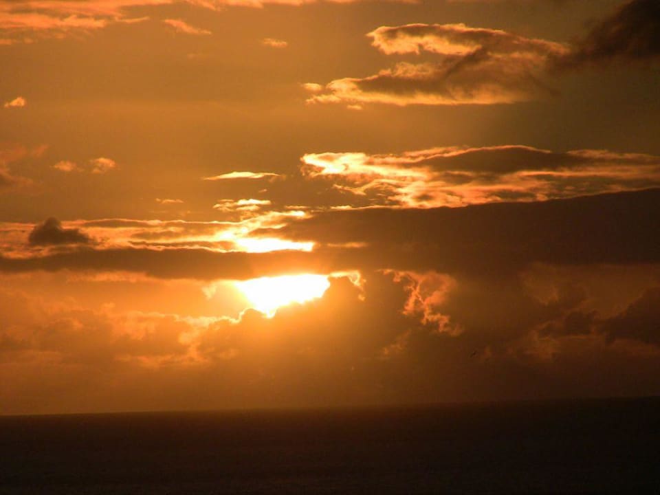 Ja Herr Dr., ich glaub so geht`s Iberostar Waves Gaviotas Park