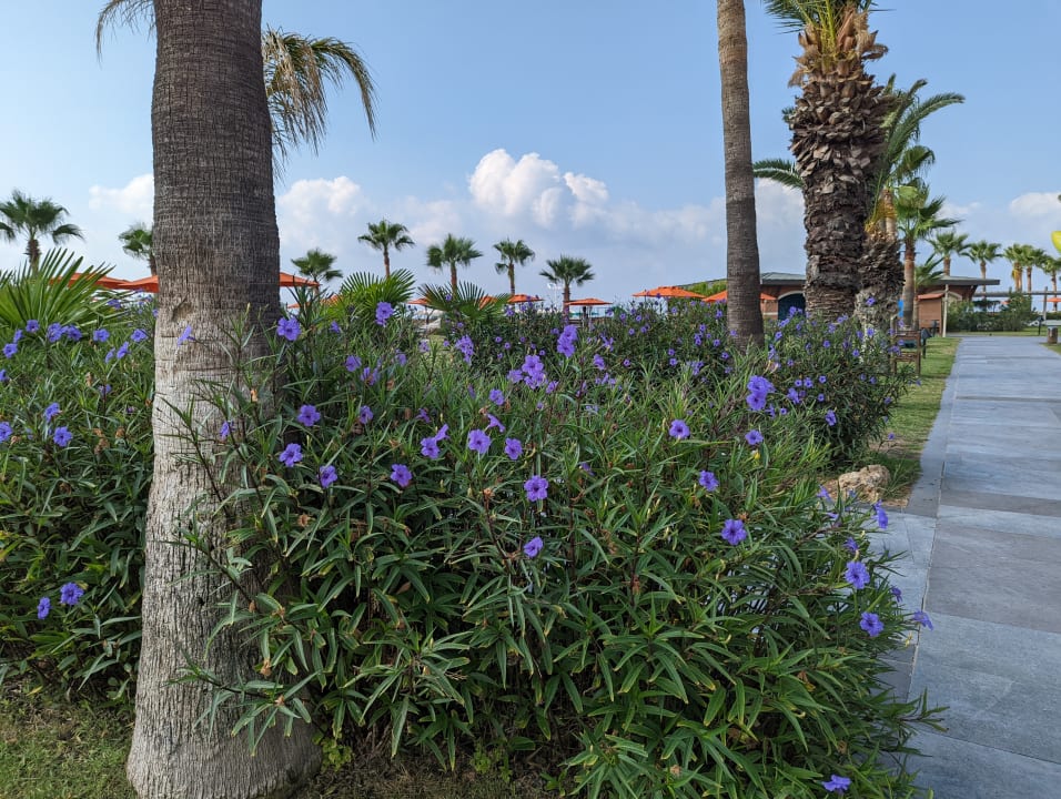 Gartenanlage Megasaray Club Belek