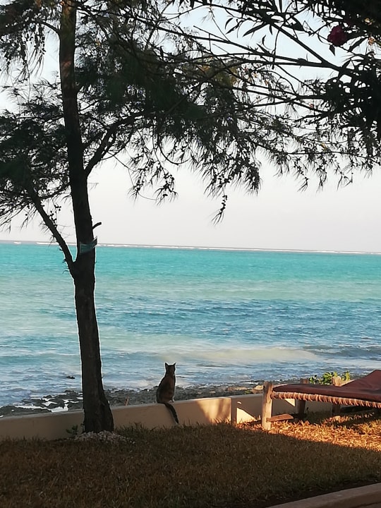 Ausblick Reef & Beach Resort