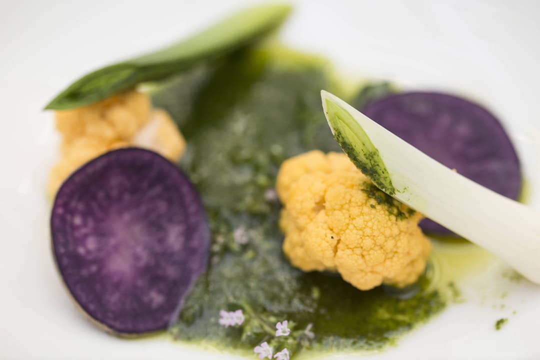 Rosevia Resort Rosevia Friends & Family Resort