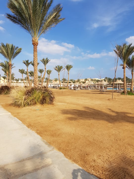 Sonstiges Jaz Solaya