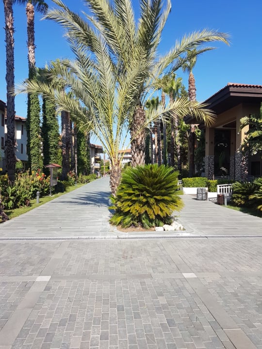 Gartenanlage Club Grand Side