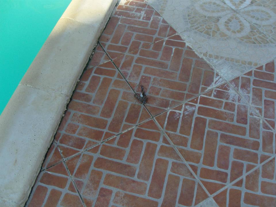 Dreck Riviera Aqua Park Resort