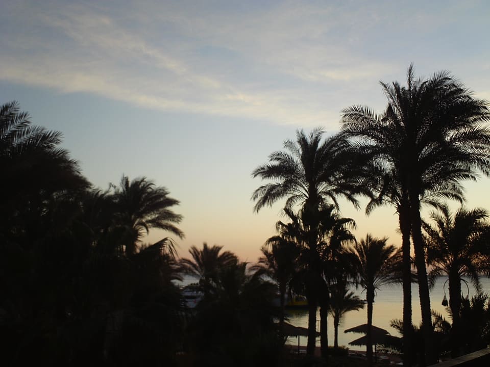 Ausblick Regina Resort and Aqua Park Hurghada