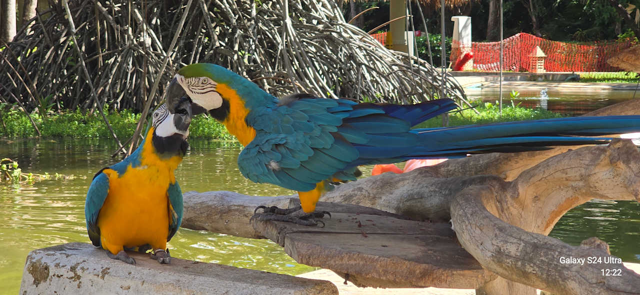 Sonstiges Iberostar Waves Paraiso del Mar