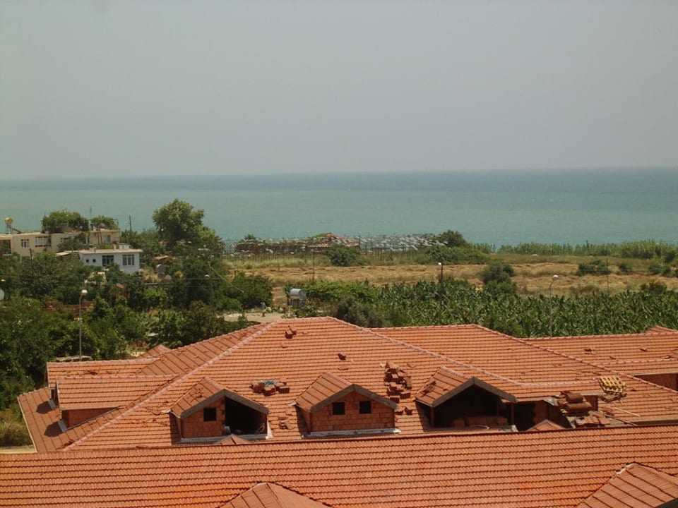 Umgebung Hotel Magnolia