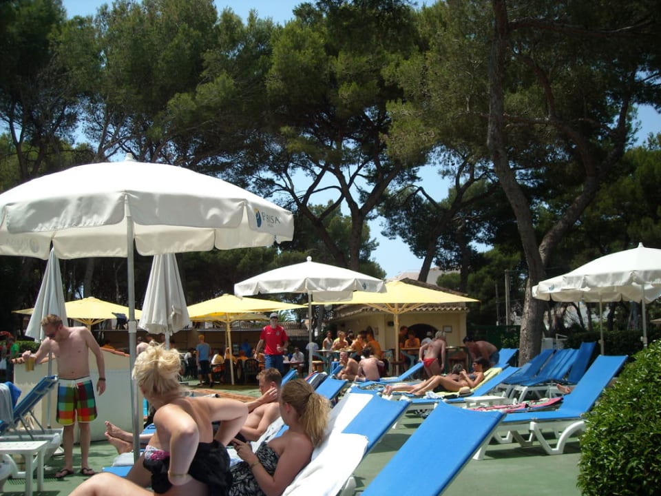 Poolanlage und im Hingergrund die Bar Pabisa Sofia