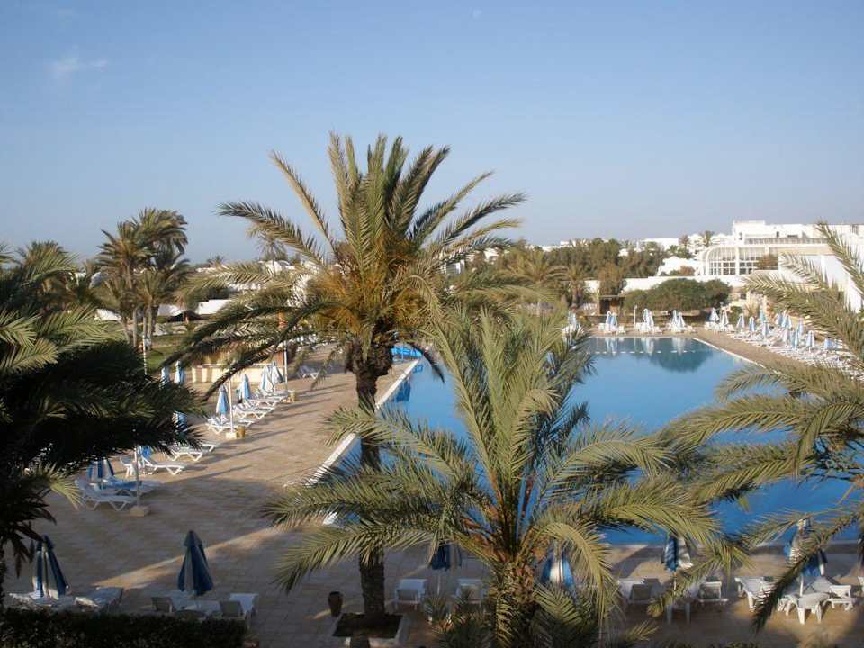 Widok z okna Djerba Castille