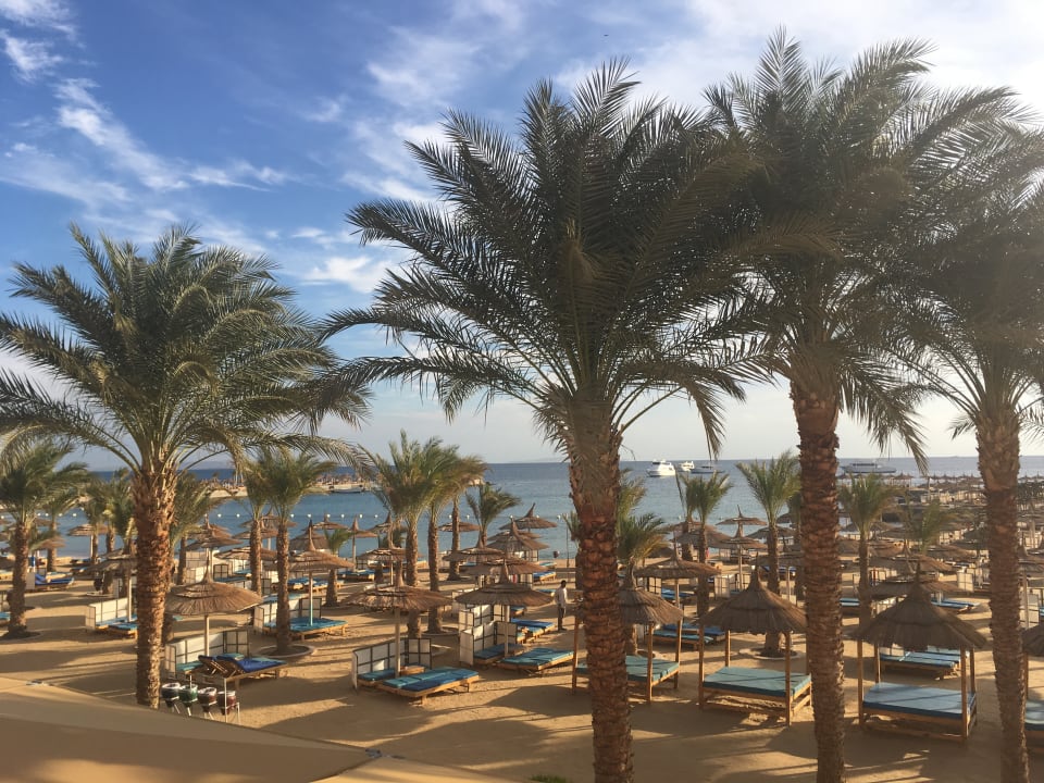 Ausblick Beach Albatros Resort