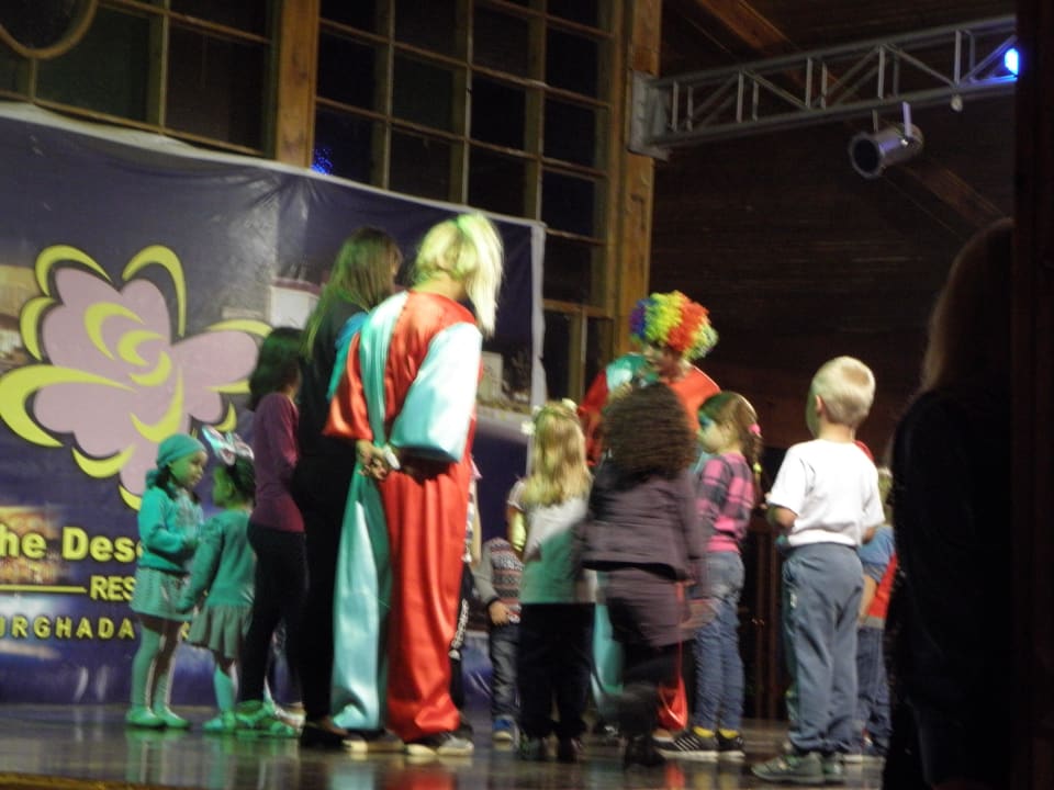 Mini Disco Desert Rose