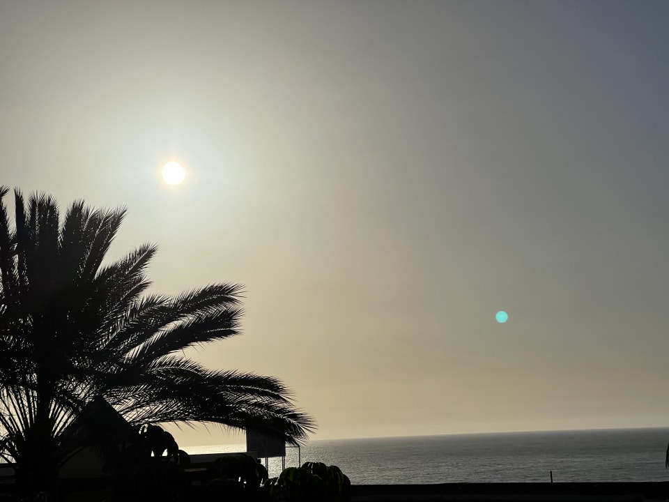 Ausblick Occidental Jandía Playa