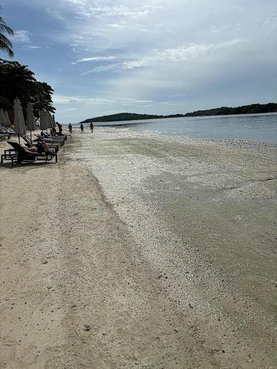 Strand Dara Samui Beach Resort