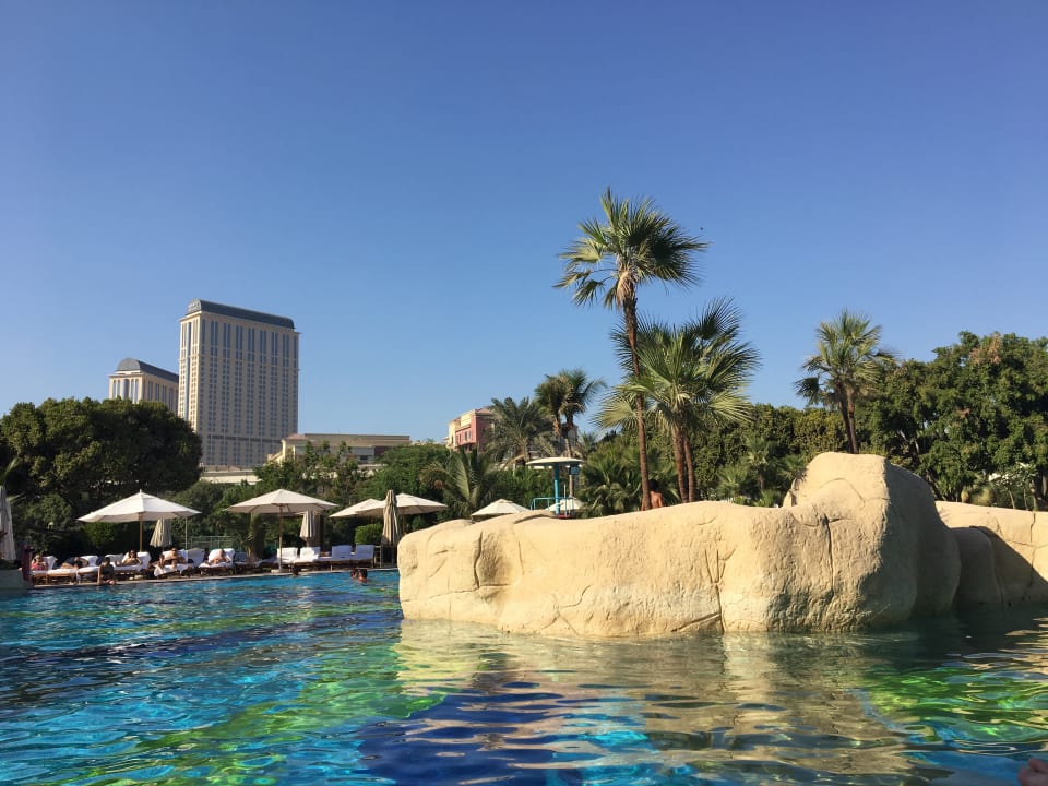 Pool Grand Hyatt Dubai
