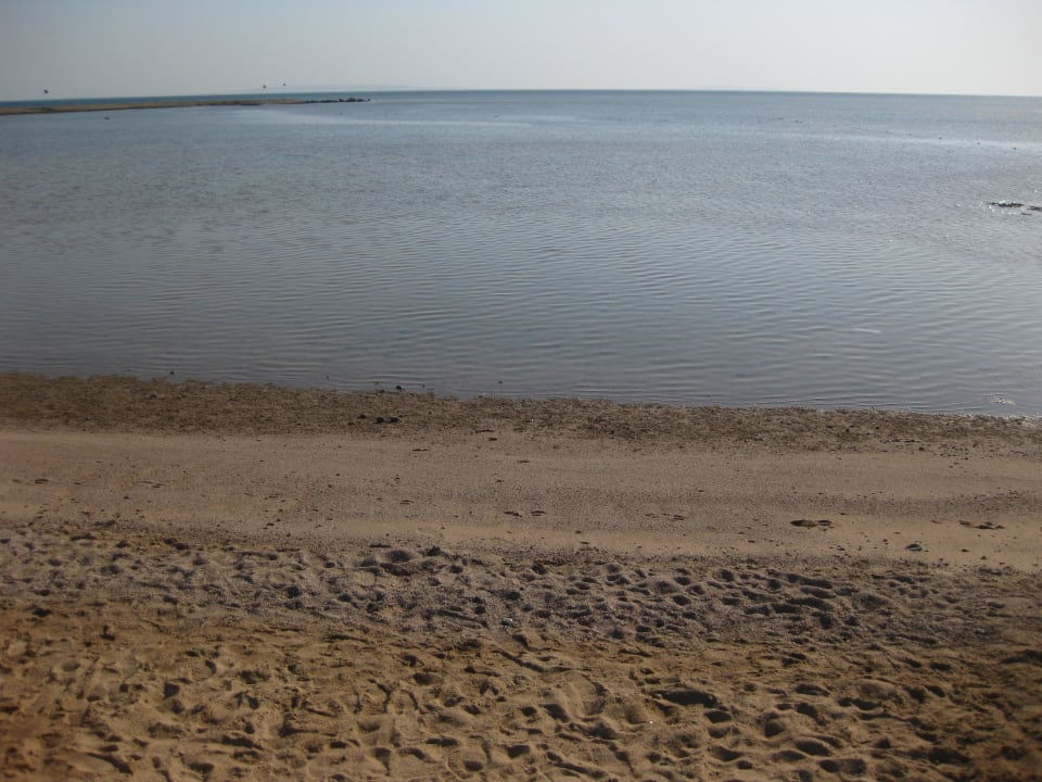 Plaża JAZ Aquamarine Resort