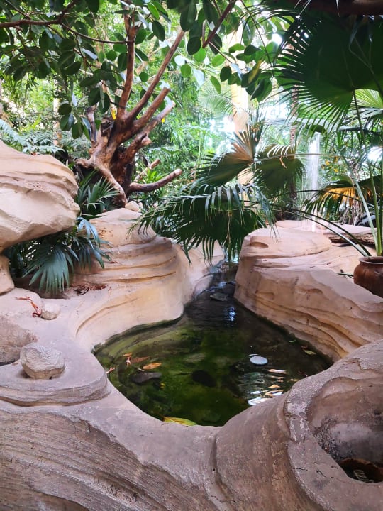 Gartenanlage Center Parcs Les Trois Forêts