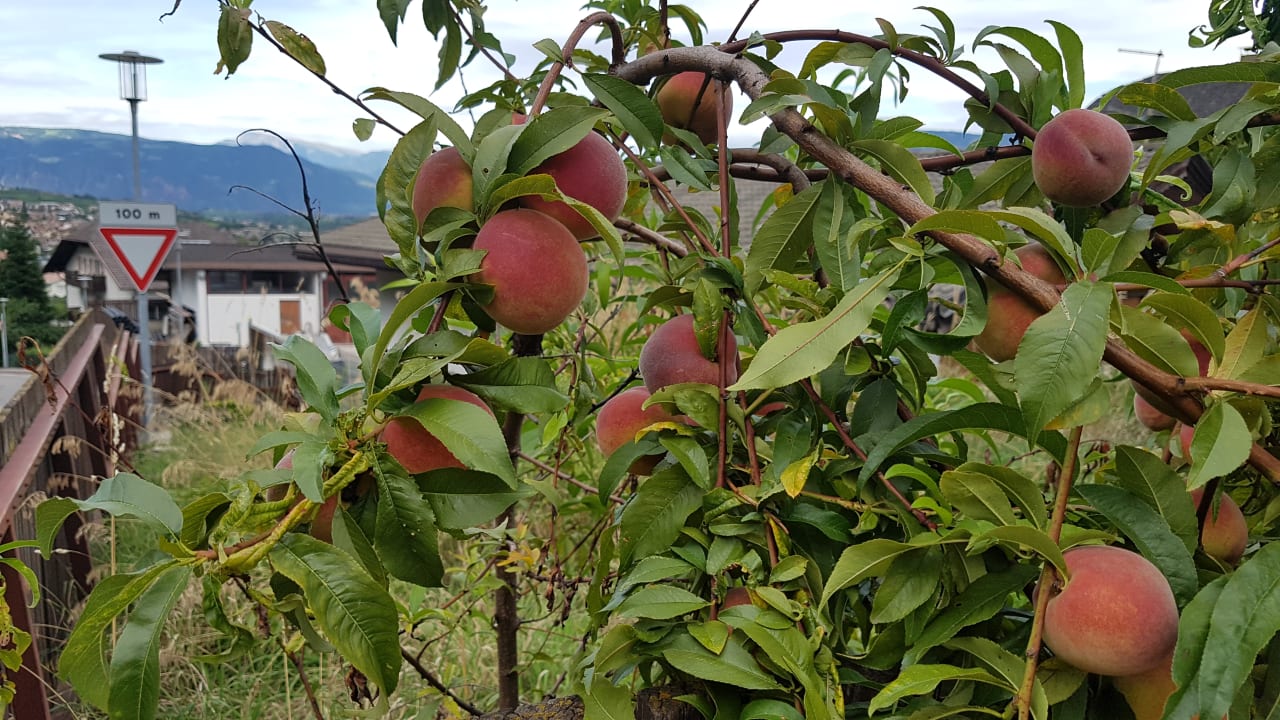 Sonstiges Garni Brunnenhof