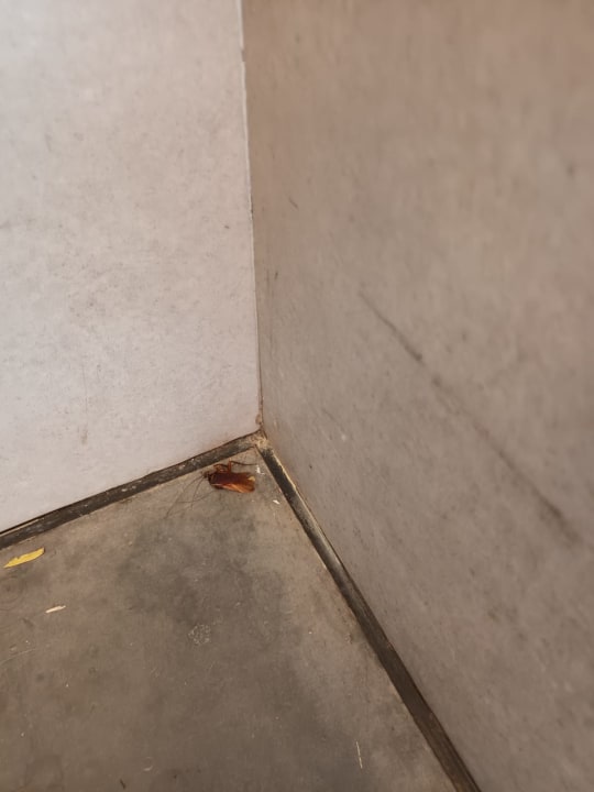 Sonstiges Apartamentos Cordial Mogán Valle