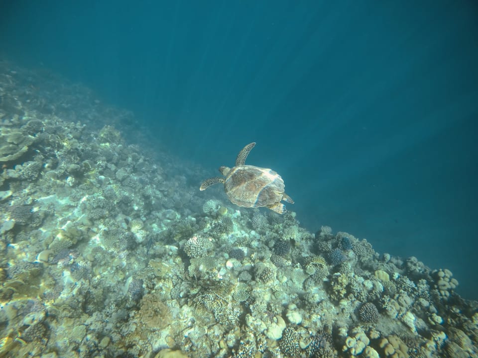 Strand Three Corners Sea Beach Resort