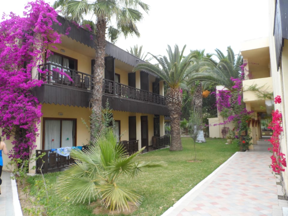 Hotel Hotel Paradis Palace