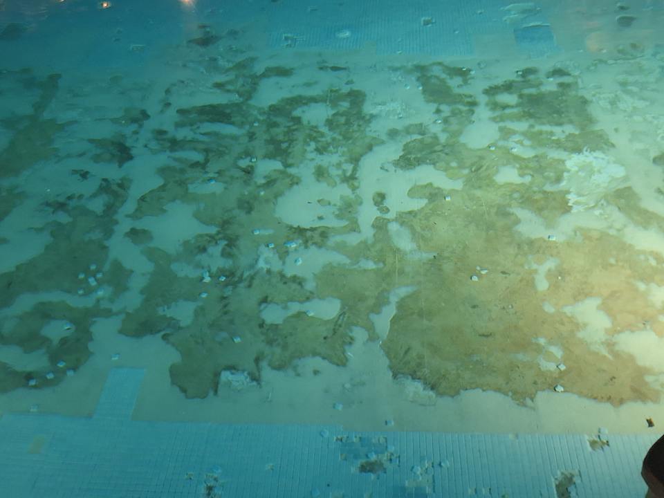 Pool Makadi Spa - Adults only