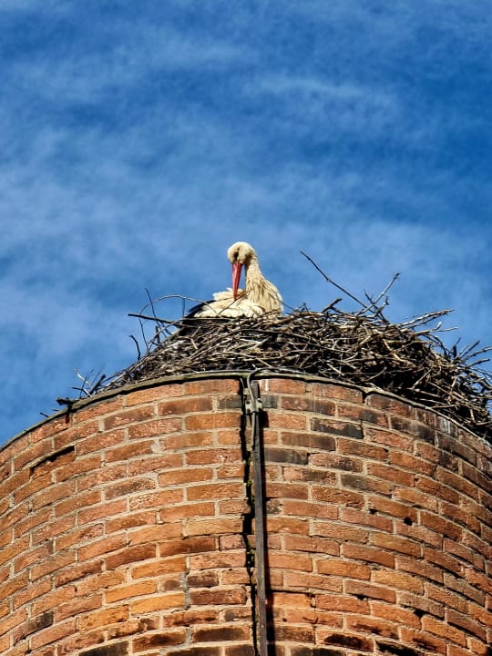 Gartenanlage Hotel Gutshof Ziegelhütte